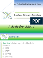 Aula_Exercicios_I.pptx