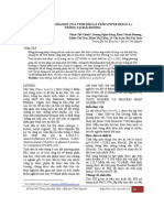 Thành phần lá trầu không PDF