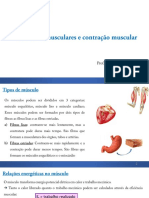 Aula 6 - Alavancas Musculares e Contração