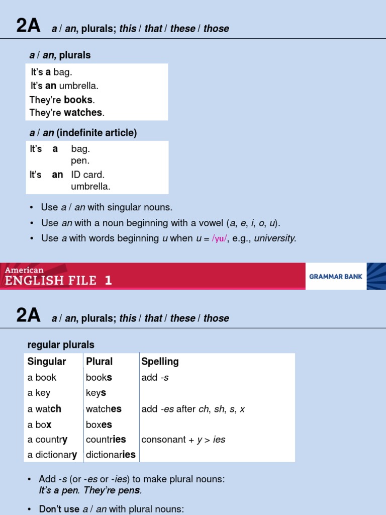 English Grammar Basics | PDF | Language Arts & Discipline