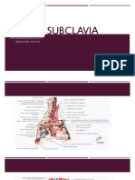 Arteria Subclavia