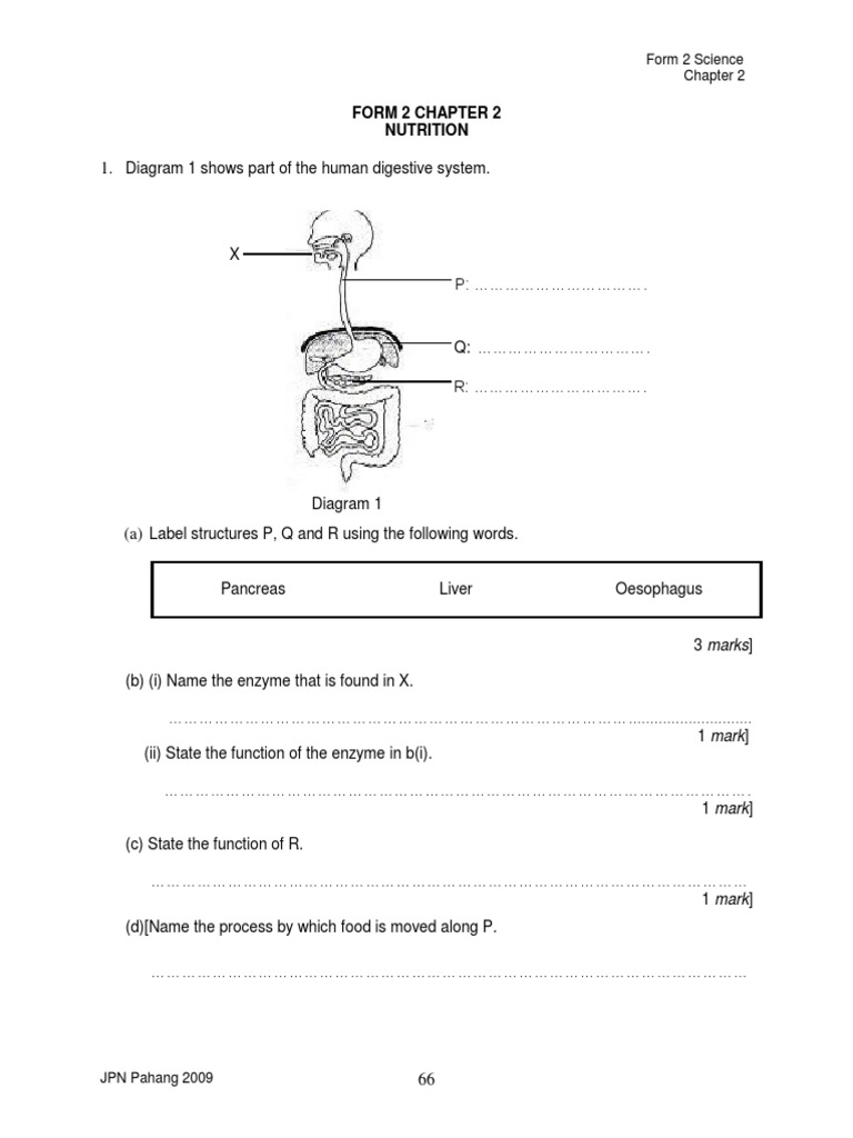 Form 2 Science: Nutrition & Digestion | PDF | Dietary Fiber | Diet ...
