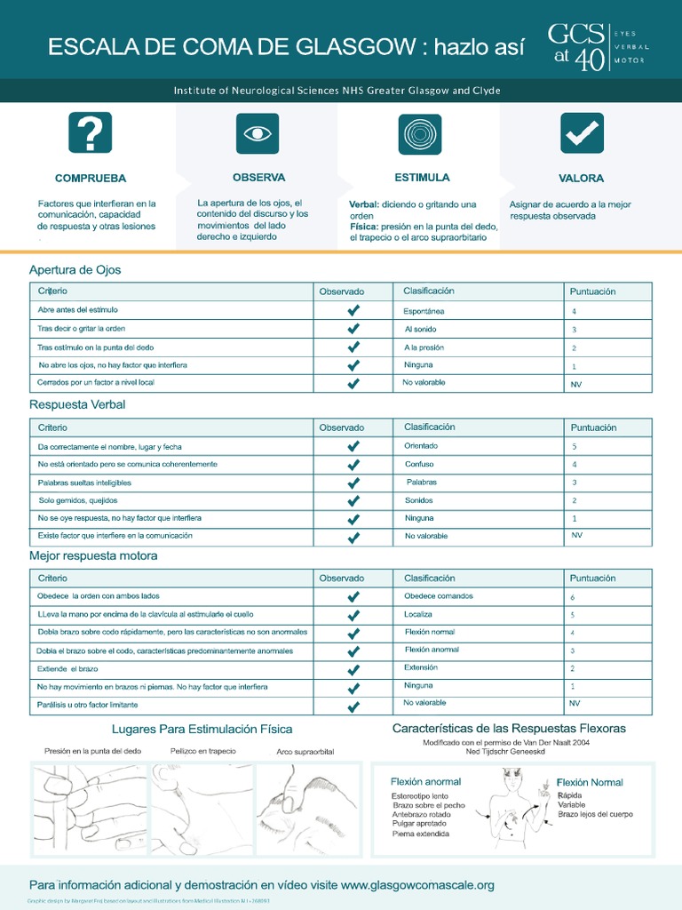 GCS Assessment Aid Spanish PDF | PDF
