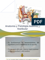 Anatomia y Fisiologia Auditiva y Vestibular