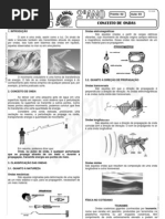 Física - Pré-Vestibular Impacto - Ondulatória - Conceitos
