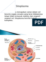 Komponen Sitoplasma