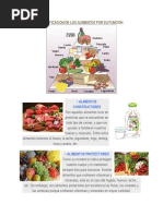 Clasificacion de Los Alimentos Borrador