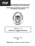 Silabo_Robotica y Sistemas Expertos_2017 2