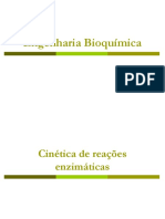 Engenharia Bioquímica_Aula 04_Cinética Enzimática