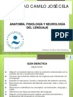 ANATOMÍA MENCIÓN AL.pdf