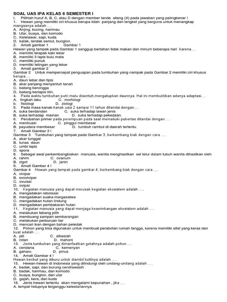 Soal Uas Ipa Kelas 6 Semester 1