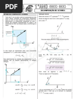 Física - Pré-Vestibular Impacto - Vetores - Decomposição