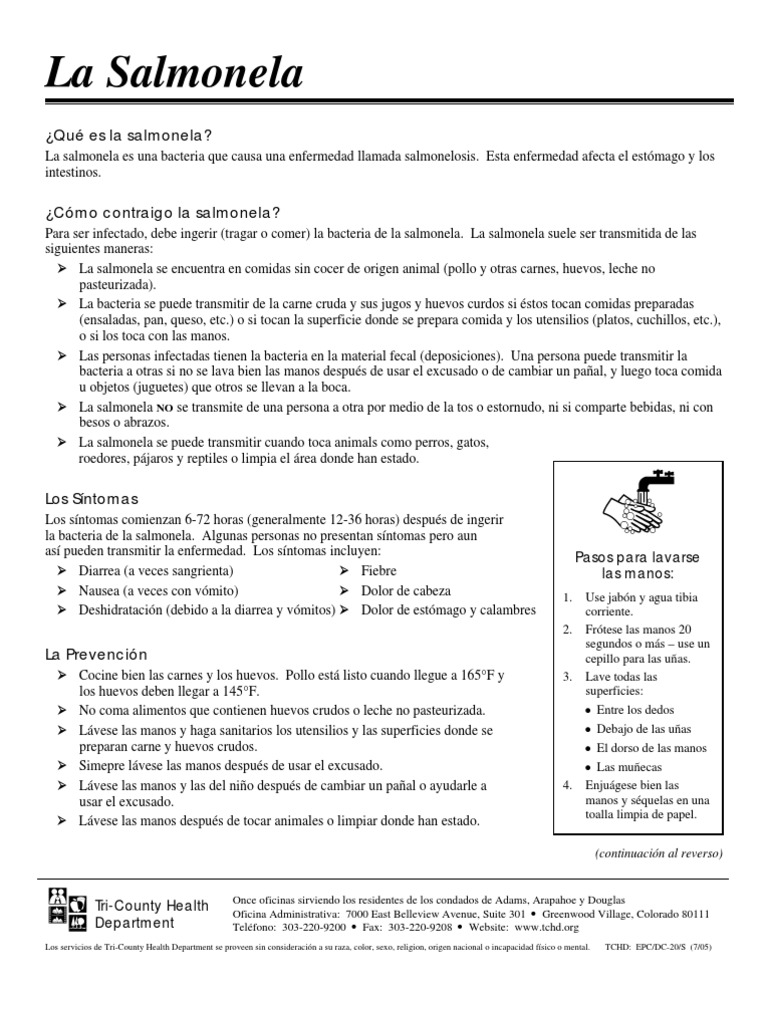 Salmonella Spanish Fact Sheet PDF Salmonela Heces