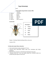 Entomologi (D4 KL)