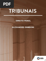 Direito Penal 01