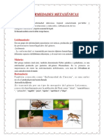 Enfermedades tropicales: dengue, leishmaniasis, malaria, bartonelosis