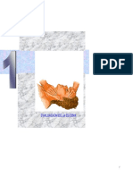 Maniobra de Gremlich PDF