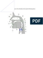 Articulatory Track - Ex.1