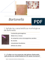 Bartonella