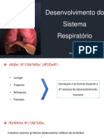 Aula S.respiratório Embrio