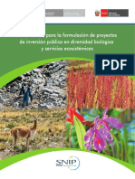 Lineamientos-para-la-formulacion-de-PIP-en-DB-y-SE.pdf