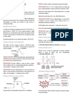 RESUMO - Contração Cardíaca, Ciclo Cardíaco, Excitação Rítmica, Eletrocardiograma.docx