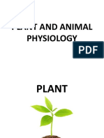 Plant and Animal Physiology