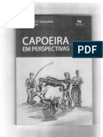 Capoeira - Em perspectivas.pdf