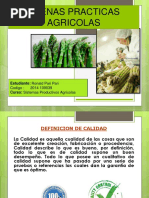 Buenas Practicas Agricolas.pptx