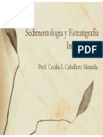 geolibrospdf-Sedimentologia-y-Estratigrafia-Introduccion-pdf.pdf