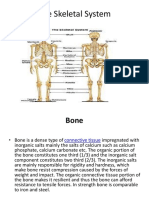 The Skeletal System-1