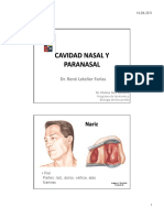 Cavidad Nasal