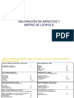 Matriz de Leopold