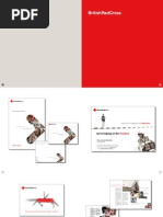 Download Creative design at British Red Cross by British Red Cross SN36159936 doc pdf