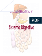 Sistema Digestivo UNCO.