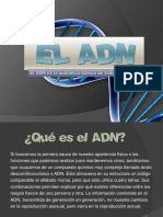 El ADN.pdf