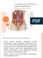 Anatomi Dan Fisiologi Sistem Perkemihan