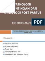 Kuliah Kemajiran Palotogi Kebuntingan Dan Patologi Post Partus