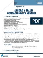 Cegicap Seguridad y Salud Ocupacional en Mineria Undac