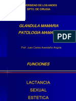 1. Patología de Glandula Mamaria.pdf