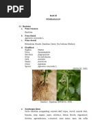 Download Tanaman Bandotan by Kaizer Gancelot SN361609519 doc pdf