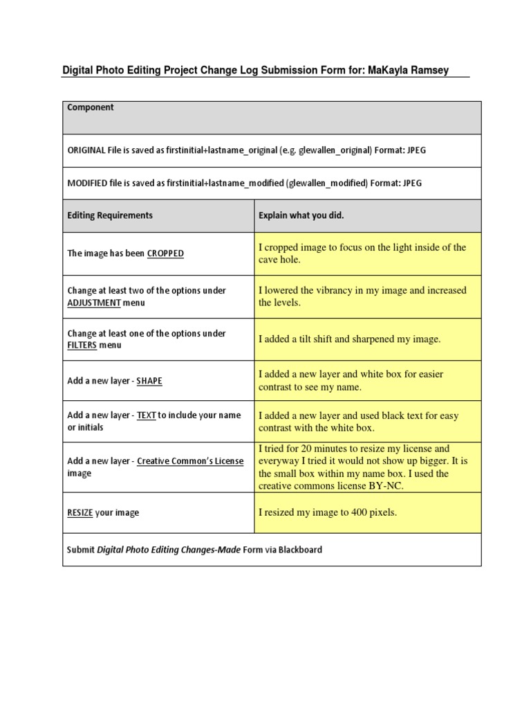 Digital Photo Editing Change Log Form | PDF