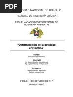 Práctica Nº2 Determinación de La Actividad Enzimática 