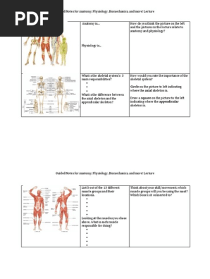 guided notes