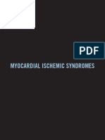 Myocardial Ischemic Syndromes