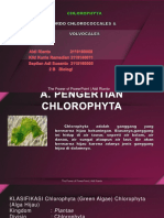 Clorophyta Editing