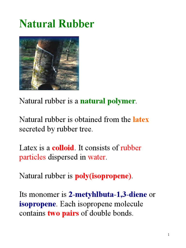 8 Natural Rubber Natural Rubber Polymerization