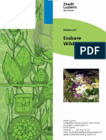 Essbare Wildpflanzen 0 PDF