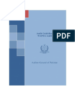 WAPDA Audit Guidelines 25 Mar 2010