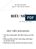 Mo Hoc - Bai 1 - Bieu Mo